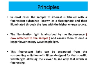 Principles
• In most cases the sample of interest is labeled with a
fluorescent substance known as a fluorophore and then
illuminated through the lens with the higher energy source.
• The illumination light is absorbed by the fluorescence (
now attached to the sample ) and causes them to emit a
longer lower energy wavelength light.
• This fluorescent light can be separated from the
surrounding radiation with filters designed for that specific
wavelength allowing the viewer to see only that which is
fluorescing.
 