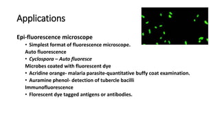 Applications
Epi-fluorescence microscope
• Simplest format of fluorescence microscope.
Auto fluorescence
• Cyclospora – Auto fluoresce
Microbes coated with fluorescent dye
• Acridine orange- malaria parasite-quantitative buffy coat examination.
• Auramine phenol- detection of tubercle bacilli
Immunofluorescence
• Florescent dye tagged antigens or antibodies.
 