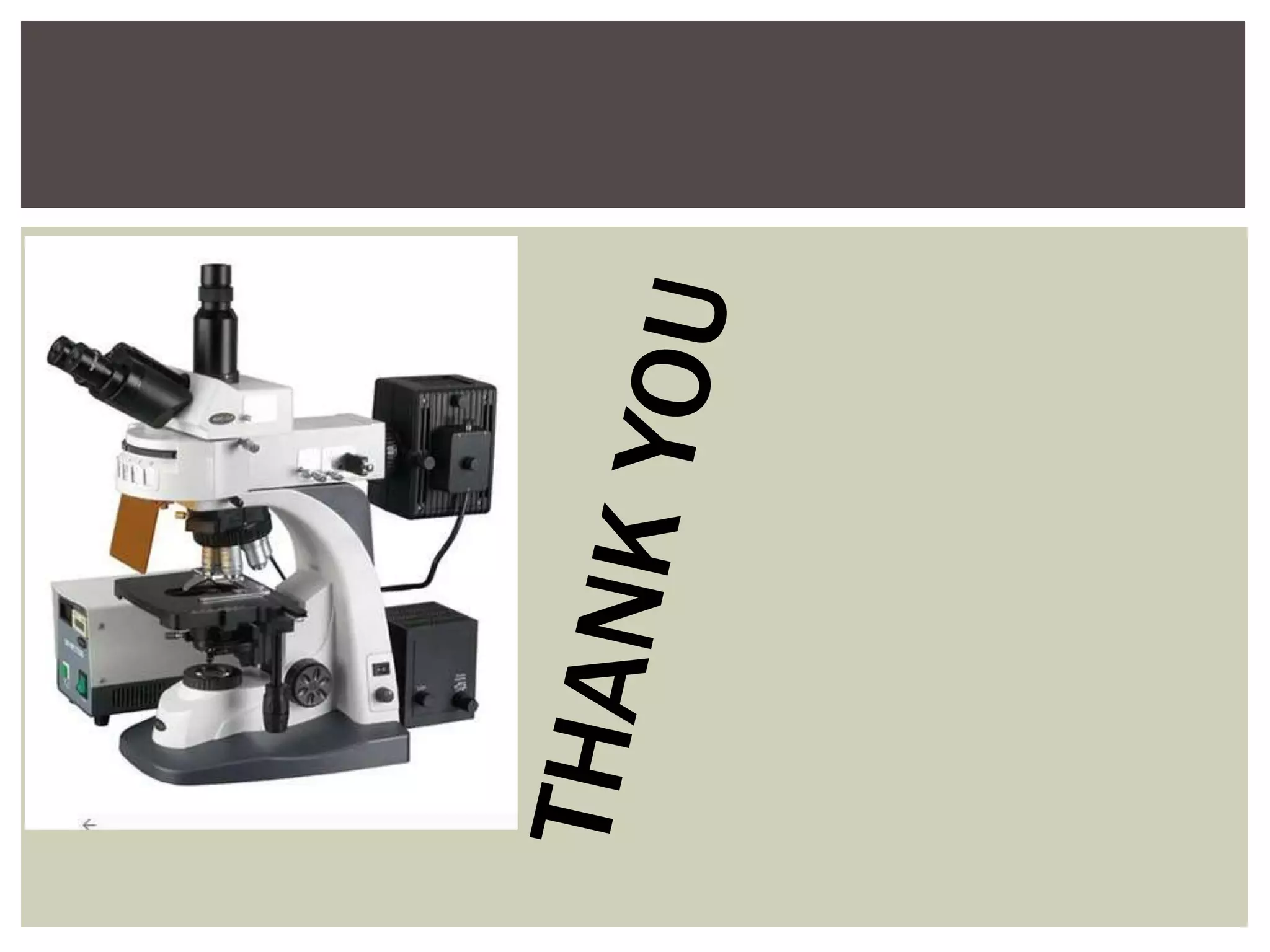 Fluorescence microscope