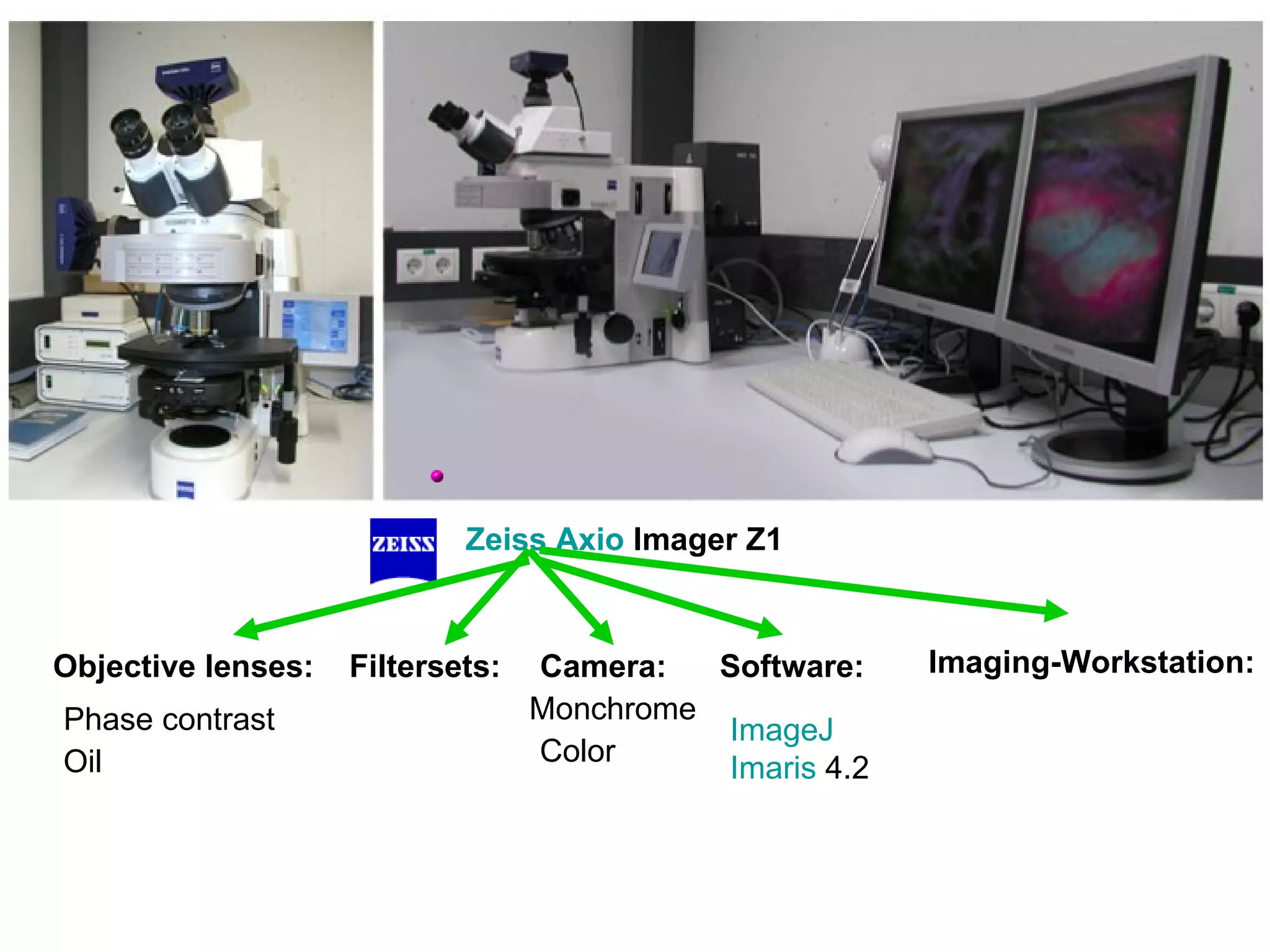 Zeiss   Axio  Imager Z1   Objective lenses:   Filtersets:   Camera:   Software:   ImageJ Imaris  4.2   Monchrome  Phase contrast  Oil         Imaging-Workstation:   Color 