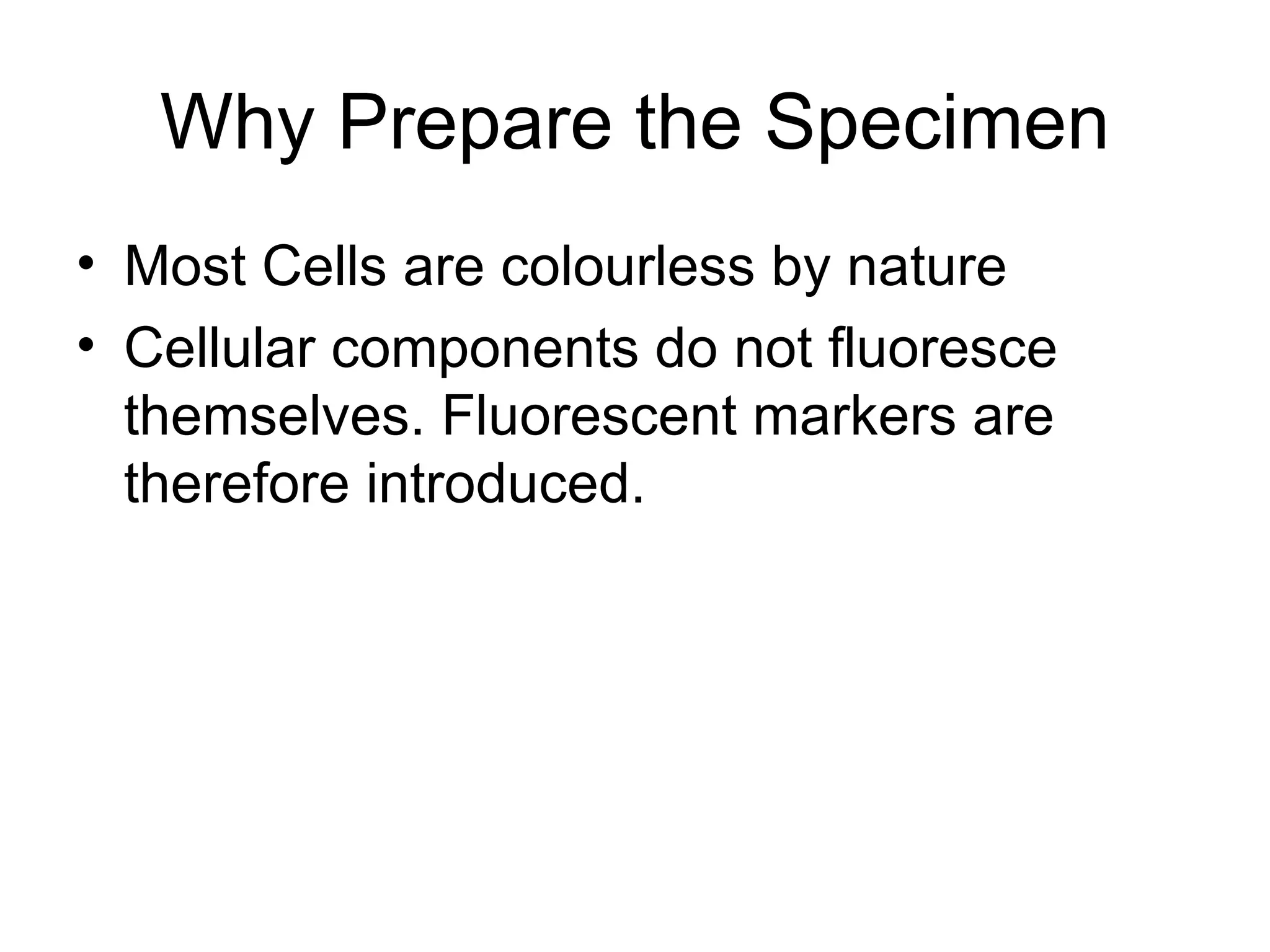 Why Prepare the Specimen Most Cells are colourless by nature Cellular components do not fluoresce themselves. Fluorescent markers are therefore introduced.  