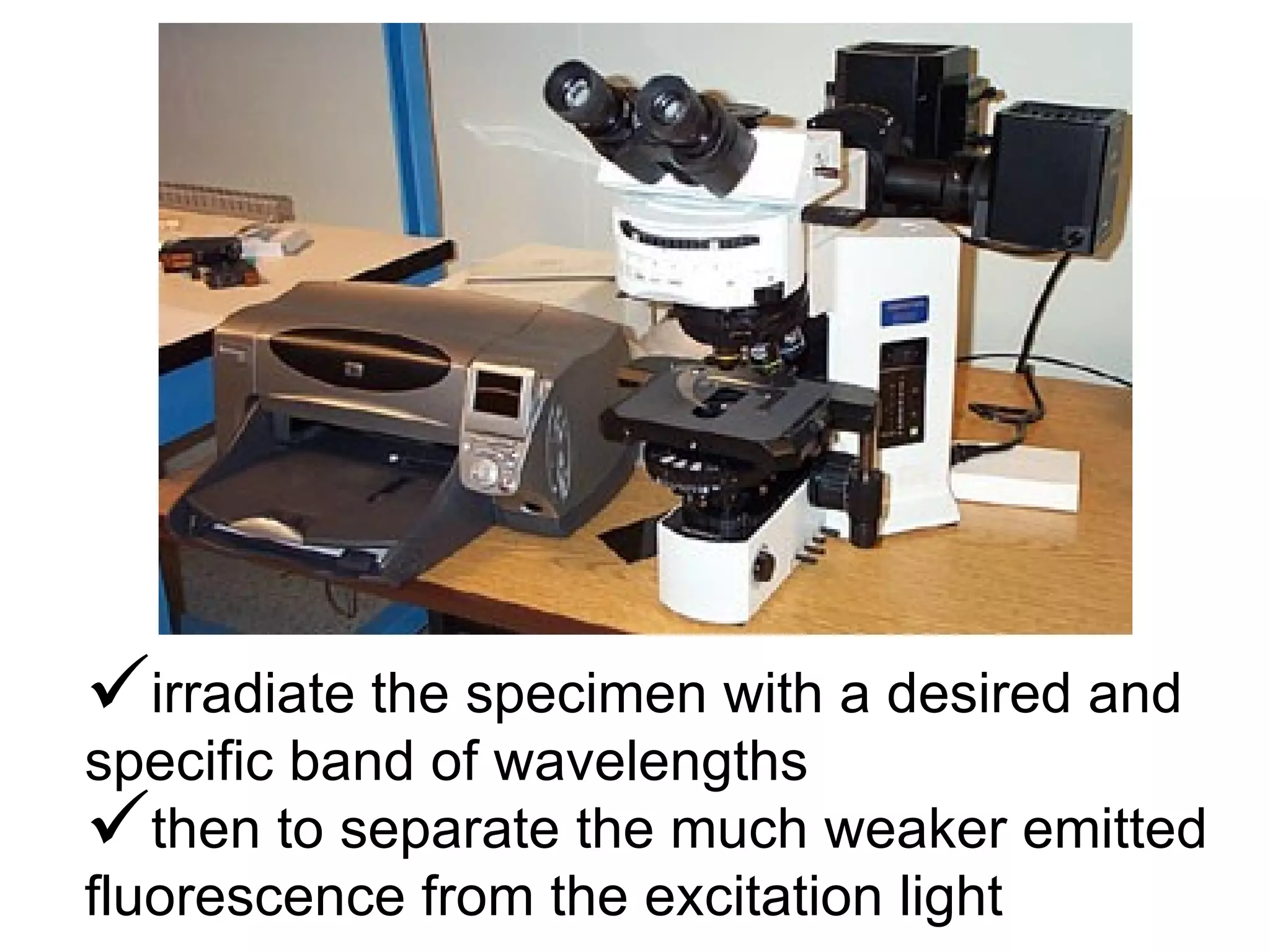 irradiate the specimen with a desired and specific band of wavelengths  then to separate the much weaker emitted fluorescence from the excitation light  