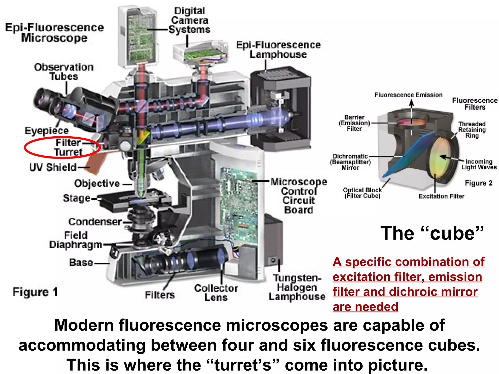 Modern fluorescence microscopes are capable of accommodating between four and six fluorescence cubes. This is where the “turret’s” come into picture.  The “cube” A specific combination of excitation filter, emission filter and dichroic mirror are needed   