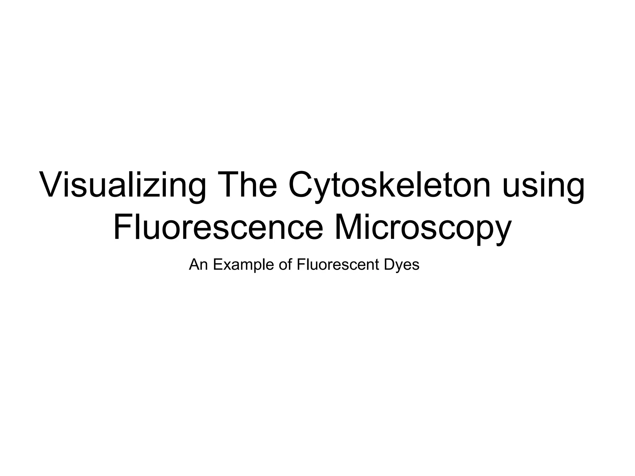 Visualizing The Cytoskeleton using Fluorescence Microscopy An Example of Fluorescent Dyes 