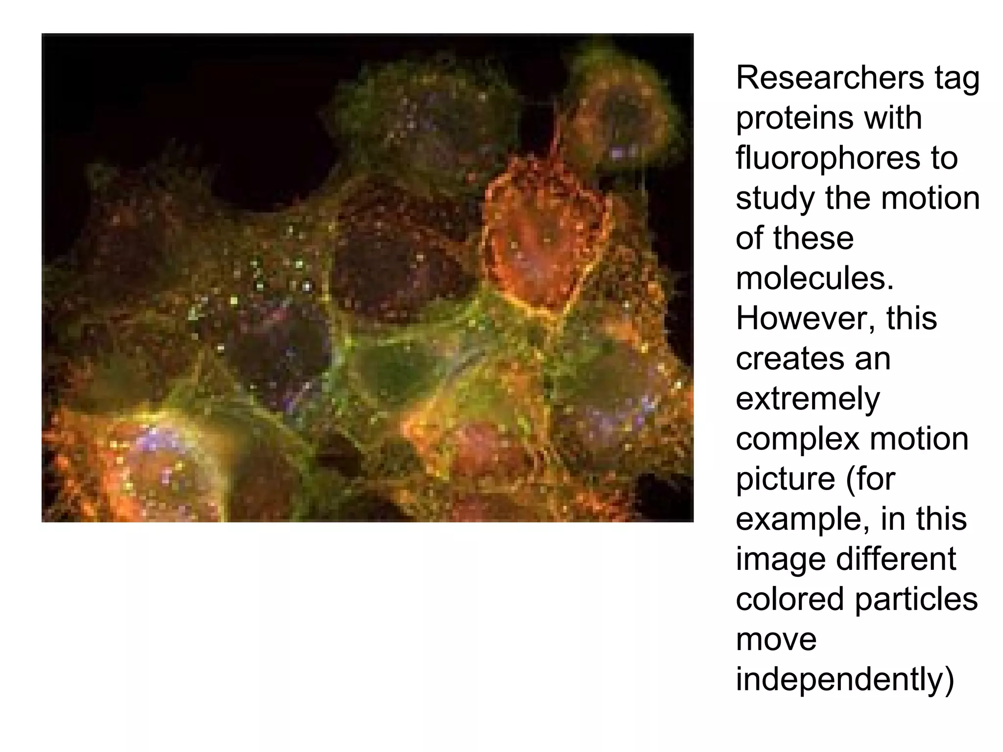 Researchers tag proteins with fluorophores to study the motion of these molecules. However, this creates an extremely complex motion picture (for example, in this image different colored particles move independently) 