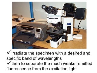irradiate the specimen with a desired and specific band of wavelengths  then to separate the much weaker emitted fluorescence from the excitation light  