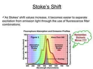 Stoke’s Shift As Stokes' shift values increase, it becomes easier to separate excitation from emission light through the use of fluorescence filter combinations.  Remember  Dichoric Mirror ??? 