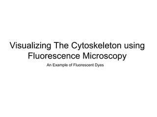 Visualizing The Cytoskeleton using Fluorescence Microscopy An Example of Fluorescent Dyes 