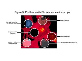 Figure 3: Problems with Fluorescence microscopy 