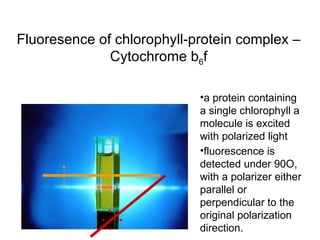 Fluoresence of chlorophyll-protein complex – Cytochrome b 6 f a protein containing a single chlorophyll a molecule is excited with polarized light fluorescence is detected under 90O, with a polarizer either parallel or perpendicular to the original polarization direction. 
