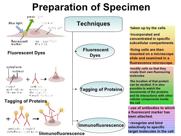prep technique