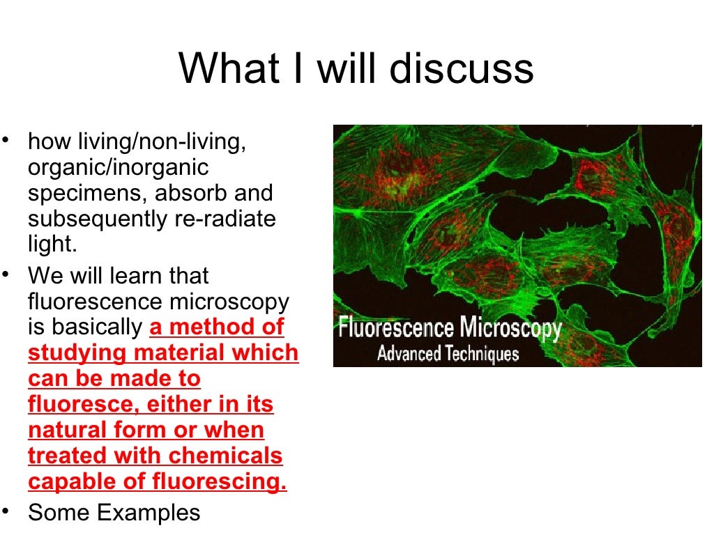 Fluorescence Microscopy