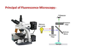 Principal of Fluorescence Microscopy:-
 