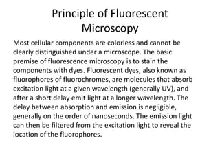 Principle of Fluorescent
Microscopy
Most cellular components are colorless and cannot be
clearly distinguished under a microscope. The basic
premise of fluorescence microscopy is to stain the
components with dyes. Fluorescent dyes, also known as
fluorophores of fluorochromes, are molecules that absorb
excitation light at a given wavelength (generally UV), and
after a short delay emit light at a longer wavelength. The
delay between absorption and emission is negligible,
generally on the order of nanoseconds. The emission light
can then be filtered from the excitation light to reveal the
location of the fluorophores.
 