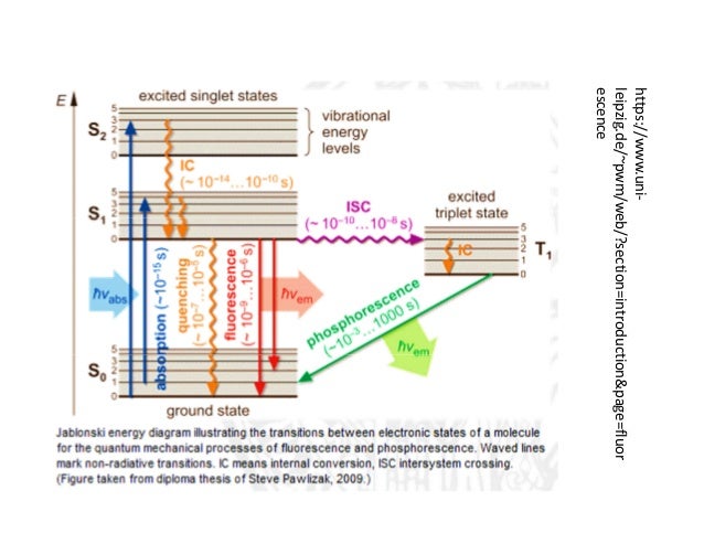 fluorescence spectroscopy