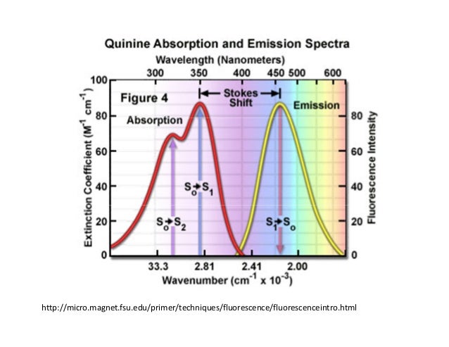 fluorescence spectroscopy