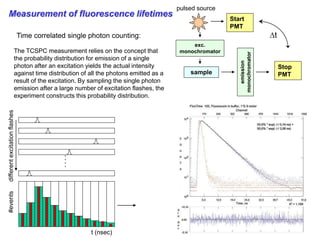 Tcspc Instrument Fluorescence Spectroscopy introduction.ppt