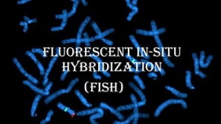 Fluorescent In-Situ
Hybridization
(FISH)
 