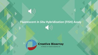 Fluorescent In Situ Hybridization (FISH) Assay
 