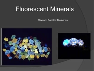 Fluorescent Minerals
Raw and Faceted Diamonds
 