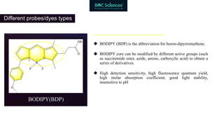 Introduction of Fluorescent Probes and Dyes | PPTX