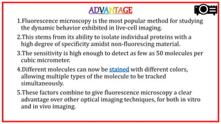 ADVANTAGE
1.Fluorescence microscopy is the most popular method for studying
the dynamic behavior exhibited in live-cell imaging.
2.This stems from its ability to isolate individual proteins with a
high degree of specificity amidst non-fluorescing material.
3.The sensitivity is high enough to detect as few as 50 molecules per
cubic micrometer.
4.Different molecules can now be stained with different colors,
allowing multiple types of the molecule to be tracked
simultaneously.
5.These factors combine to give fluorescence microscopy a clear
advantage over other optical imaging techniques, for both in vitro
and in vivo imaging.
 