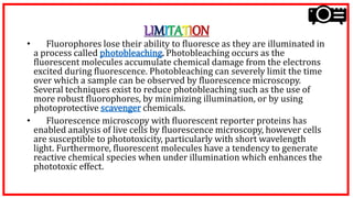 LIMITATION
• Fluorophores lose their ability to fluoresce as they are illuminated in
a process called photobleaching. Photobleaching occurs as the
fluorescent molecules accumulate chemical damage from the electrons
excited during fluorescence. Photobleaching can severely limit the time
over which a sample can be observed by fluorescence microscopy.
Several techniques exist to reduce photobleaching such as the use of
more robust fluorophores, by minimizing illumination, or by using
photoprotective scavenger chemicals.
• Fluorescence microscopy with fluorescent reporter proteins has
enabled analysis of live cells by fluorescence microscopy, however cells
are susceptible to phototoxicity, particularly with short wavelength
light. Furthermore, fluorescent molecules have a tendency to generate
reactive chemical species when under illumination which enhances the
phototoxic effect.
 