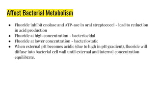 Affect Bacterial Metabolism
● Fluoride inhibit enolase and ATP-ase in oral streptococci - lead to reduction
in acid production
● Fluoride at high concentration - bacteriocidal
● Fluoride at lower concentration - bacteriostatic
● When external pH becomes acidic (due to high in pH gradient), ﬂuoride will
diffuse into bacterial cell wall until external and internal concentration
equilibrate.
 