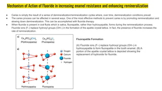 Mechanism of Action of Fluoride in increasing enamel resistance and enhancing remineralization
● Caries is simply the result of a series of demineralization/remineralization cycles where, over time, demineralization conditions prevail.
● The caries process can be affected in several ways. One of the most effective methods to prevent caries is by promoting remineralization and
slowing down demineralization. This can be accomplished with fluoride therapy.
● When fluoride is present in oral fluids which is saliva, fluorapatite, rather than hydroxyapatite, forms during the remineralization process.
Fluoride ions (F–) replace hydroxyl groups (OH–) in the formation of the apatite crystal lattice. In fact, the presence of fluoride increases the
rate of remineralization.
Fluorapatite Formation
(A) Fluoride ions (F–) replace hydroxyl groups (OH–) in
hydroxyapatite to form fluorapatite in the tooth enamel. (B) A
portion of the apatite crystal lattice is depicted showing the
replacement of hydroxide for fluoride.
 