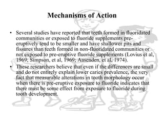 Mechanisms of Action <ul><li>Several studies have reported that teeth formed in fluoridated communities or exposed to fluo...
