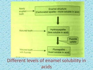 Different levels of enamel solubility in
acids
 