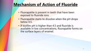 • Fluorapatite is present in teeth that have been
exposed to fluoride ions
• Fluorapatite starts to dissolve when the pH drops
below 4.5.
• If biofilm pH is higher than 4.5 and fluoride is
available in low concentrations, fluorapatite forms on
the surface layers of enamel.
10
Mechanism of Action of Fluoride
 