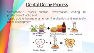 Dental Decay Process
7
Streptococcus causes sucrose fermentation leading to
production of lactic acid.
Lactic acid enhances enamel demineralization and eventually
caries development
 