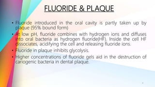 FLUORIDE & PLAQUE
• Fluoride introduced in the oral cavity is partly taken up by
plaque (95% bound form)
• At low pH, fluoride combines with hydrogen ions and diffuses
into oral bacteria as hydrogen fluoride(HF). Inside the cell HF
dissociates, acidifying the cell and releasing fluoride ions.
• Fluoride in plaque inhibits glycolysis.
• Higher concentrations of fluoride gels aid in the destruction of
cariogenic bacteria in dental plaque.
9
 