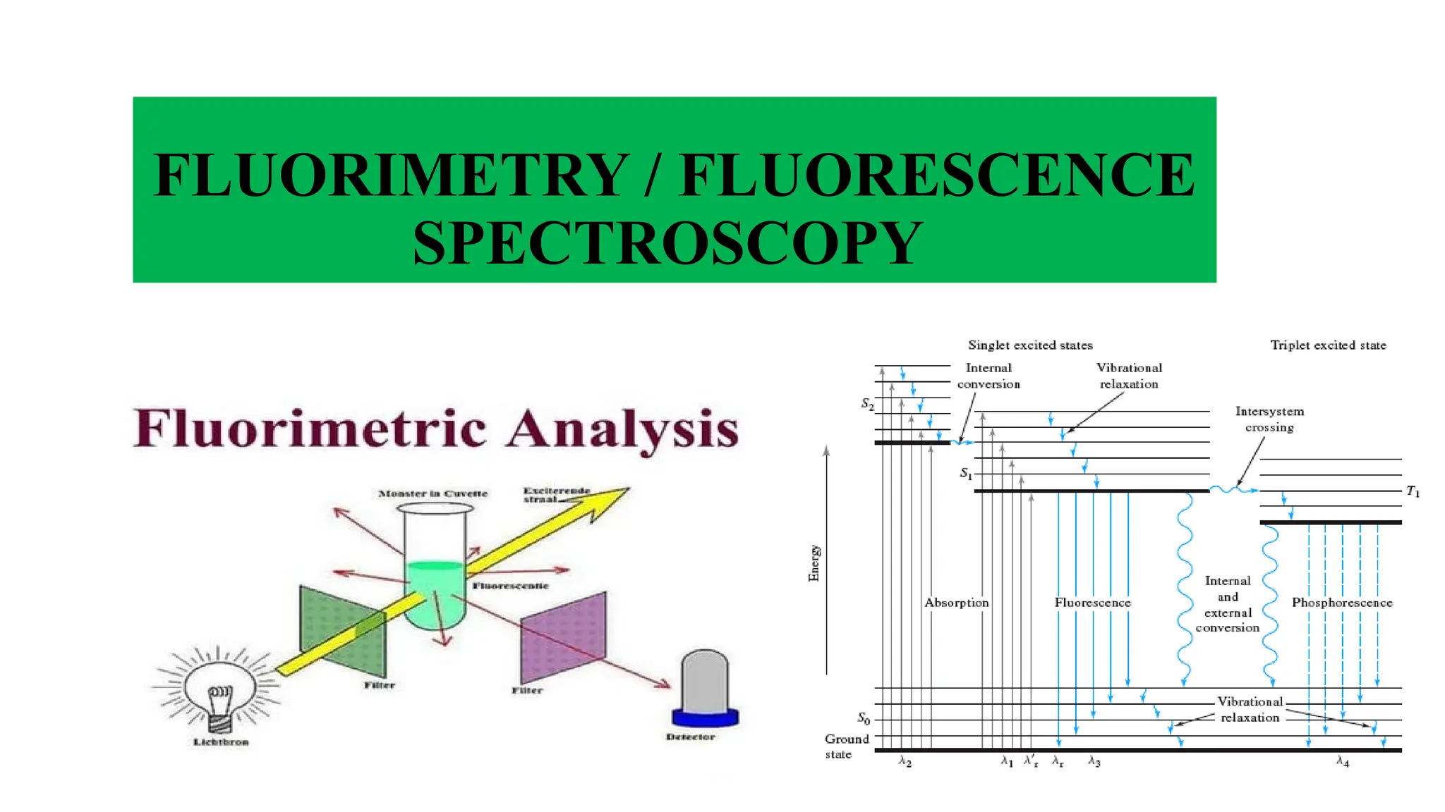 FLUORIMETRY / FLUORESCENCE
SPECTROSCOPY
 