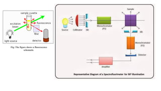 Fig: The figure shows a fluorescence
schematic.
 