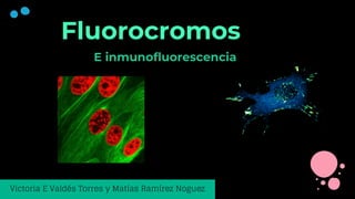 Fluorocromos
Victoria E Valdés Torres y Matías Ramírez Noguez
E inmunofluorescencia
 