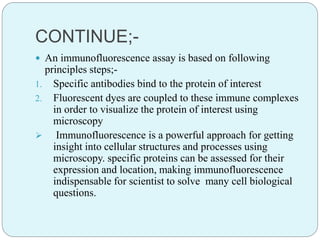 CONTINUE;-
 An immunofluorescence assay is based on following
principles steps;-
1. Specific antibodies bind to the protein of interest
2. Fluorescent dyes are coupled to these immune complexes
in order to visualize the protein of interest using
microscopy
 Immunofluorescence is a powerful approach for getting
insight into cellular structures and processes using
microscopy. specific proteins can be assessed for their
expression and location, making immunofluorescence
indispensable for scientist to solve many cell biological
questions.
 