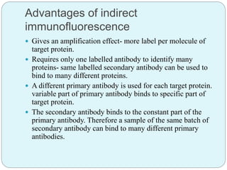 Advantages of indirect
immunofluorescence
 Gives an amplification effect- more label per molecule of
target protein.
 Requires only one labelled antibody to identify many
proteins- same labelled secondary antibody can be used to
bind to many different proteins.
 A different primary antibody is used for each target protein.
variable part of primary antibody binds to specific part of
target protein.
 The secondary antibody binds to the constant part of the
primary antibody. Therefore a sample of the same batch of
secondary antibody can bind to many different primary
antibodies.
 