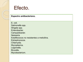 Efecto.
Espectro antibacteriano.
E. coli.
Salmonella spp.
Shigela spp.
Enterobacter.
Campylobacter.
Neisseria
Estafilococos no resistentes a meticilina.
Estreptrococos.
Chlamydia.
Mycoplasma.
Legionella.
Brucella.
Mycobacterium.
 
