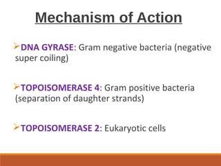 Mechanism of Action
DNA GYRASE: Gram negative bacteria (negative
super coiling)
TOPOISOMERASE 4: Gram positive bacteria
(separation of daughter strands)
TOPOISOMERASE 2: Eukaryotic cells
 