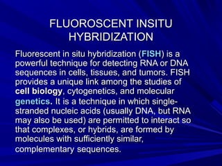 FLUOROSCENT INSITUFLUOROSCENT INSITU
HYBRIDIZATIONHYBRIDIZATION
Fluorescent in situ hybridization (Fluorescent in situ hybridization (FISHFISH) is a) is a
powerful technique for detecting RNA or DNApowerful technique for detecting RNA or DNA
sequences in cells, tissues, and tumors. FISHsequences in cells, tissues, and tumors. FISH
provides a unique link among the studies ofprovides a unique link among the studies of
cell biologycell biology, cytogenetics, and molecular, cytogenetics, and molecular
geneticsgenetics.. ItIt is a technique in which single-is a technique in which single-
stranded nucleic acids (usually DNA, but RNAstranded nucleic acids (usually DNA, but RNA
may also be used) are permitted to interact somay also be used) are permitted to interact so
that complexes, or hybrids, are formed bythat complexes, or hybrids, are formed by
molecules with sufficiently similar,molecules with sufficiently similar,
complementarycomplementary sequences.sequences.
 