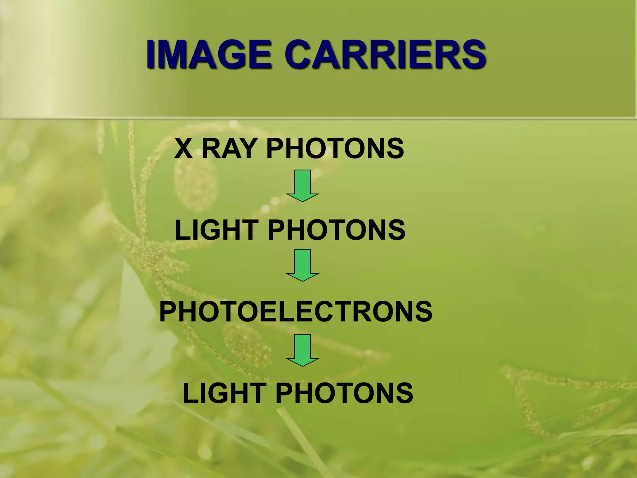 IMAGE CARRIERS
X RAY PHOTONS
LIGHT PHOTONS
PHOTOELECTRONS
LIGHT PHOTONS
 