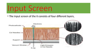 Input Screen
• The input screen of the II consists of four different layers,
 