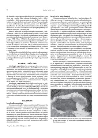 50                                                              Joelma Lucioli et al.



de alumínio com processo eletrolítico, de ferro ou de aço com                Intoxicação experimental
fluxo que contêm flúor, tijolos vitrificados, cobre, vidro,                      O bovino que ingeriu 300mg/kg (Bov.1) de fluorsilicato de
esmaltados e fábricas que produzem superfosfatos a partir de                 sódio apresentou, 14 horas após a ingestão, salivação intensa,
fosfato de rocha são fontes potenciais de flúor. A contaminação              tremores musculares leves, principalmente na coxa; mudança
do meio ambiente com efluentes, como ácido fluorídrico,                      freqüente de posição e olhar constante para o flanco. No dia
tetrafluoreto de sílica, fluorcetamina (Radostits et al. 2000),              seguinte o quadro evolui para diarréia e ingestão freqüente de
fluorsilicato de sódio e fluoreto de sódio (Humphreys 1988), são             água. Quarenta e oito horas após a ingestão o animal voltou a se
também associados a intoxicações.                                            alimentar, persistindo a diarréia por 5 dias seguida de recupera-
    A intoxicação pode ser aguda ou crônica (Humphreys 1988).                ção completa. O animal que ingeriu 400mg/kg (Bov.2) apresen-
A fluorose caracteriza-se por intoxicação crônica, com lesões                tou alterações semelhantes ao Bovino 1, mas com evolução mais
dentárias e ósseas. A intoxicação aguda é rara e caracteriza-se              rápida e de maior intensidade dos sinais clínicos. Duas horas
por sintomatologia gastrointestinal e sinais nervosos (Rosen-                após a ingestão o animal coiceava o ar e o abdômen, rangia os
berger 1975, Palmer 1993). No Brasil a intoxicação crônica a                 dentes, salivava, tinha tremores musculares e alternava a posi-
partir de pastos contaminados com poluição atmosférica, pro-                 ção em decúbito lateral e external. Vinte sete horas após a
duzidas por fábricas de adubo, foi descrita em bovinos no Rio                ingestão o animal ficou em decúbito lateral, com respiração
Grande do Sul (Riet-Correa et al. 1983). As intoxicações agudas              dificultosa, contração tônica e episódios de pedalagem, seguido
foram relatadas em outros países em suínos (Bain 1953), ovinos               de coma, sendo eutanasiado duas horas após o decúbito.
(Georgsson & Petursson 1972), bovinos (Padberg 1972) e cães                      Durante as necropsias dos casos espontâneo e experimental,
(Holmes 1946).                                                               sentia-se um odor forte que lembrava derivado de petróleo. No
    O objetivo desse trabalho é relatar a intoxicação aguda por              rumem, retículo e omaso observavam-se múltiplas áreas de colo-
flúor em bovinos, no Estado de Santa Catarina, através da ingestão           ração vermelha na mucosa, associadas às áreas de ulceração,
de fluorsilicato de sódio; além de caracterizar o quadro clínico-            edema e desprendimento da mucosa (Fig.1). A mucosa do
patológico da intoxicação a partir da reprodução experimental                abomaso tinha coloração vermelha difusa, de aspecto edematoso
da doença.                                                                   e com erosões multifocais.
                                                                                 A análise histológica das amostras revelou necrose acentua-
                   MATERIAL E MÉTODOS
                   MATERIAL                                                  da de segmentos da mucosa ruminal e abomasal e infiltrado
     Intoxicação espontânea. Em uma propriedade rural, no mu-                polimorfonuclear variando de moderado a acentuado na
nicípio de Witmarsum, Santa Catarina, 6 de 19 bovinos morreram               mucosa, submucosa e muscular (Fig.2), associados ou não a he-
rapidamente após ingerirem resíduo químico de uma central de tra-            morragia. A infiltração de neutrófilos era mais acentuada nas
tamento de água. Dados epidemiológicos da enfermidade, sinais                regiões perivasculares. Trombos de fibrina e polimorfonucleares
clínicos e alterações de necropsia foram obtidos com o veterinário           foram vistos nos vasos da submucosa. A necrose da mucosa
responsável. Dos seis animais que morreram, três foram necropsiados          ruminal às vezes era associada a desprendimento do epitélio e,
e amostras de tecidos foram coletadas, fixadas em formol a 10%,              no caso experimental, era acompanhada de edema acentuado
processadas para exame histológico e coradas pela técnica de hema-           de submucosa. Além das lesões gástricas os bovinos apresenta-
toxilina e eosina (HE). Também foi coletada uma amostra de fígado,           vam lesões no fígado, rim e tecido linfóide, caracterizadas por
de um bovino, para exame toxicológico.
                                                                             necrose hepática periportal (Fig.3), sendo mais acentuada nos
     Intoxicação experimental. Reprodução experimental foi reali-
zada a partir do fornecimento no cocho, a dois bovinos, de fluorsilicato
                                                                             casos espontâneos, associada a infiltrado moderado difuso de
de sódio (Na2SiF6) na dosagem de 300mg/kg e 400mg/kg. O fluorsilicato        neutrófilos nos sinusóides. O epitélio tubular renal tinha
utilizado foi o mesmo que estava na propriedade onde a intoxicação
espontânea ocorreu. Os animais foram mantidos em baias de alvena-
ria, com água, feno e ração à vontade e acompanhados por exames
clínicos. O bovino que morreu por eutanásia foi necropsiado e amos-
tras de vísceras foram coletadas para exame histológico e toxicoló-
gico.

                          RESULTADOS
                          RESULT
Intoxicação espontânea
    Em uma propriedade rural no município de Witmarsum, SC,
seis de dezenove bovinos, morreram após ingerirem uma subs-
tância de cor branca e sem cheiro, que foi posteriormente
identificada como fluorsilicato de sódio. Este produto foi deixa-
do ao ar livre em uma propriedade vizinha de uma estação de
tratamento de água, onde bovinos tinham livre acesso. Os ani-
mais intoxicados apresentavam tremores musculares em todo o
corpo, salivação intensa, gemidos, inquietação, levantando e                 Fig.1. Áreas avermelhadas na mucosa do rúmen com desprendimento
deitando com freqüência, morrendo rapidamente após o início                      da capa queratinizada, na intoxicação espontânea de bovino por
dos sinais clínicos.                                                             fluorsilicato de sódio.

Pesq. Vet. Bras. 27(1):49-52, janeiro 2007
 