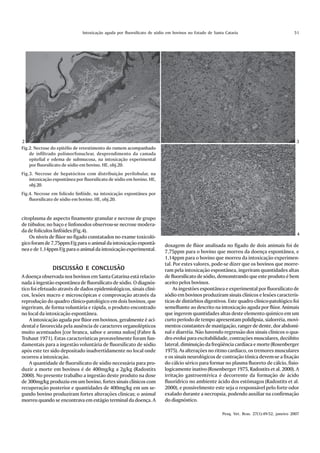 Intoxicação aguda por fluorsilicato de sódio em bovinos no Estado de Santa Cataria                              51




2                                                                                                                                              3
Fig.2. Necrose do epitélio de revestimento do rumem acompanhado
    de infiltrado polimorfonuclear, desprendimento da camada
    epitelial e edema de submucosa, na intoxicação experimental
    por fluorsilicato de sódio em bovino. HE, obj.20.
Fig.3. Necrose de hepatócitos com distribuição perilobular, na
    intoxicação espontânea por fluorsilicato de sódio em bovino. HE,
    obj.20.
Fig.4. Necrose em folículo linfóide, na intoxicação espontânea por
    fluorsilicato de sódio em bovino. HE, obj.20.


citoplasma de aspecto finamente granular e necrose de grupo
de túbulos; no baço e linfonodos observou-se necrose modera-
da de folículos linfóides (Fig.4).
                                                                                                                                               4
    Os níveis de flúor no fígado constatados no exame toxicoló-
gico foram de 7,75ppm F/g para o animal da intoxicação espontâ-          dosagem de flúor analisada no fígado de dois animais foi de
nea e de 1,14ppm F/g para o animal da intoxicação experimental.          7,75ppm para o bovino que morreu da doença espontânea, e
                                                                         1,14ppm para o bovino que morreu da intoxicação experimen-
                                                                         tal. Por estes valores, pode-se dizer que os bovinos que morre-
               DISCUSSÃO E CONCLUSÃO                                     ram pela intoxicação espontânea, ingeriram quantidades altas
A doença observada nos bovinos em Santa Catarina está relacio-           de fluorsilicato de sódio, demonstrando que este produto é bem
nada à ingestão espontânea de fluorsilicato de sódio. O diagnós-         aceito pelos bovinos.
tico foi efetuado através de dados epidemiológicos, sinais clíni-             As ingestões espontânea e experimental por fluorsilicato de
cos, lesões macro e microscópicas e comprovação através da               sódio em bovinos produziram sinais clínicos e lesões caracterís-
reprodução do quadro clínico-patológico em dois bovinos, que             ticas de distúrbios digestivos. Este quadro clínico-patológico foi
ingeriram, de forma voluntária e rápida, o produto encontrado            semelhante ao descrito na intoxicação aguda por flúor. Animais
no local da intoxicação espontânea.                                      que ingerem quantidades altas deste elemento químico em um
    A intoxicação aguda por flúor em bovinos, geralmente é aci-          curto período de tempo apresentam polidipsia, sialorréia, movi-
dental e favorecida pela ausência de caracteres organolépticos           mentos constantes de mastigação, ranger de dente, dor abdomi-
muito acentuados [cor branca, sabor e aroma nulos] (Fabre &              nal e diarréia. Não havendo regressão dos sinais clínicos o qua-
Truhaut 1971). Estas características provavelmente foram fun-            dro evolui para excitabilidade, contrações musculares, decúbito
damentais para a ingestão voluntária de fluorsilicato de sódio           lateral, diminuição da freqüência cardíaca e morte (Rosenberger
após este ter sido depositado inadvertidamente no local onde             1975). As alterações no ritmo cardíaco, os tremores musculares
ocorreu a intoxicação.                                                   e os sinais neurológicos de contração tônica devem-se a fixação
    A quantidade de fluorsilicato de sódio necessária para pro-          do cálcio sérico para formar no plasma fluoreto de cálcio, fisio-
duzir a morte em bovinos é de 400mg/kg a 2g/kg (Radostits                logicamente inativo (Rosenberger 1975, Radostits et al. 2000). A
2000). No presente trabalho a ingestão deste produto na dose             irritação gastroentérica é decorrente da formação de ácido
de 300mg/kg produziu em um bovino, fortes sinais clínicos com            fluorídrico no ambiente ácido dos estômagos (Radostits et al.
recuperação posterior e quantidades de 400mg/kg em um se-                2000), e possivelmente este seja o responsável pelo forte odor
gundo bovino produziram fortes alterações clinicas; o animal             exalado durante a necropsia, podendo auxiliar na confirmação
morreu quando se encontrava em estágio terminal da doença. A             do diagnóstico.

                                                                                                       Pesq. Vet. Bras. 27(1):49-52, janeiro 2007
 
