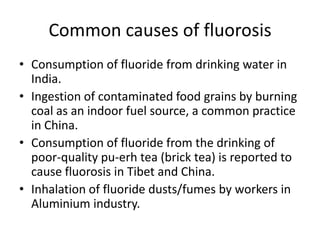 Common causes of fluorosis
• Consumption of fluoride from drinking water in
India.
• Ingestion of contaminated food grains by burning
coal as an indoor fuel source, a common practice
in China.
• Consumption of fluoride from the drinking of
poor-quality pu-erh tea (brick tea) is reported to
cause fluorosis in Tibet and China.
• Inhalation of fluoride dusts/fumes by workers in
Aluminium industry.
 
