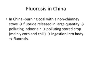 Fluorosis in China
• In China -burning coal with a non-chimney
stove → fluoride released in large quantity →
polluting indoor air → polluting stored crop
(mainly corn and chili) → ingestion into body
→ fluorosis.
 