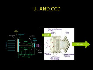 I.I. AND CCD 
LIGHT 
SIGNAL 
 