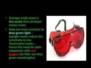 • Scotopic (rod) vision is 
less acute than photopic 
(cone) vision 
• Rods are most sensitive to 
blue-green light – 
daylight levels reduce the 
sensitivity to low 
illumination levels – 
hence the need for dark-adaptation 
with red 
goggles (to filter out blue 
green wavelengths) 
 
